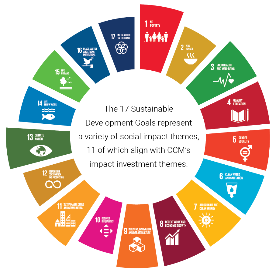 UN SDG and CCM Impact Themes_wheel